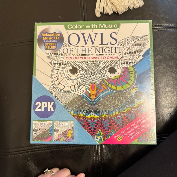 Color with Music 🎶 Coloring Books with Music CD - Blue and Pink - Picture 3 of 5